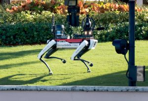 Một chú chó robot do Boston Dynamics sản xuất