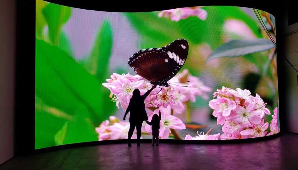 Màn hình LED trong nhà