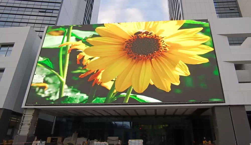 Màn hình LED P6