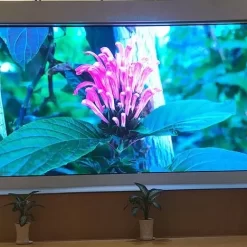 Màn hinh LED 100 Inch