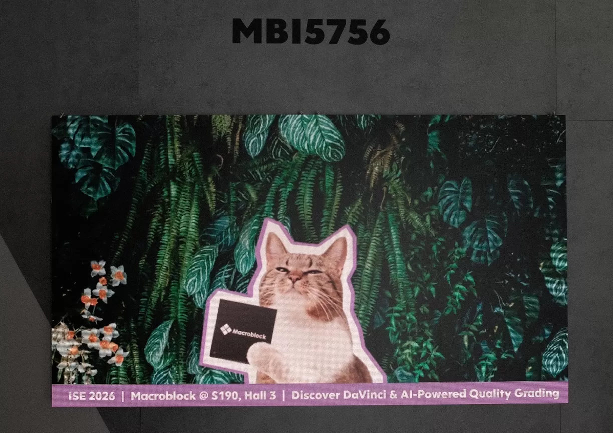 Màn hình LED hiển thị hình ảnh chi tiết, chân thực