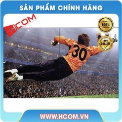 Màn hình sân vận động